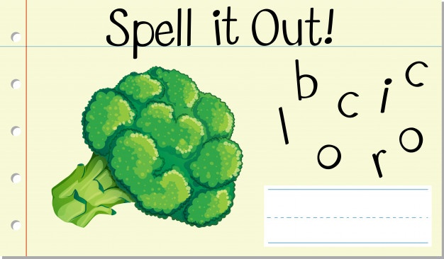 626x366 Broccoli Vectors, Photos And Free Download