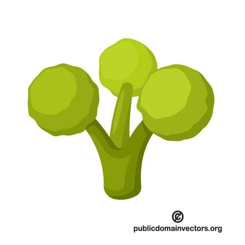 500x500 Broccoli Vector Clip Art