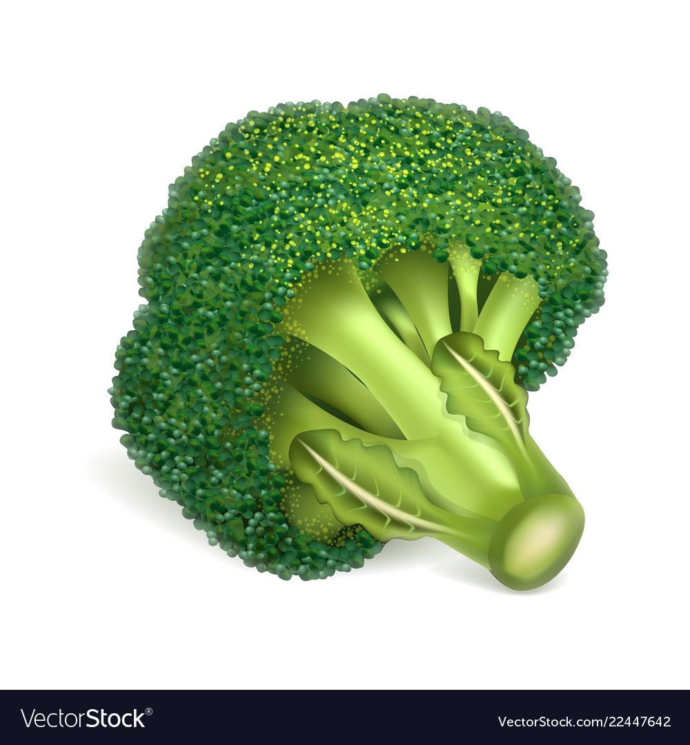 1000x1080 Eco Broccoli Icon Realistic Style Royalty Free Vector Image