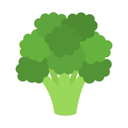 450x450 Flat Icon Broccoli Vector Illustration Royalty Free Vector Graphics