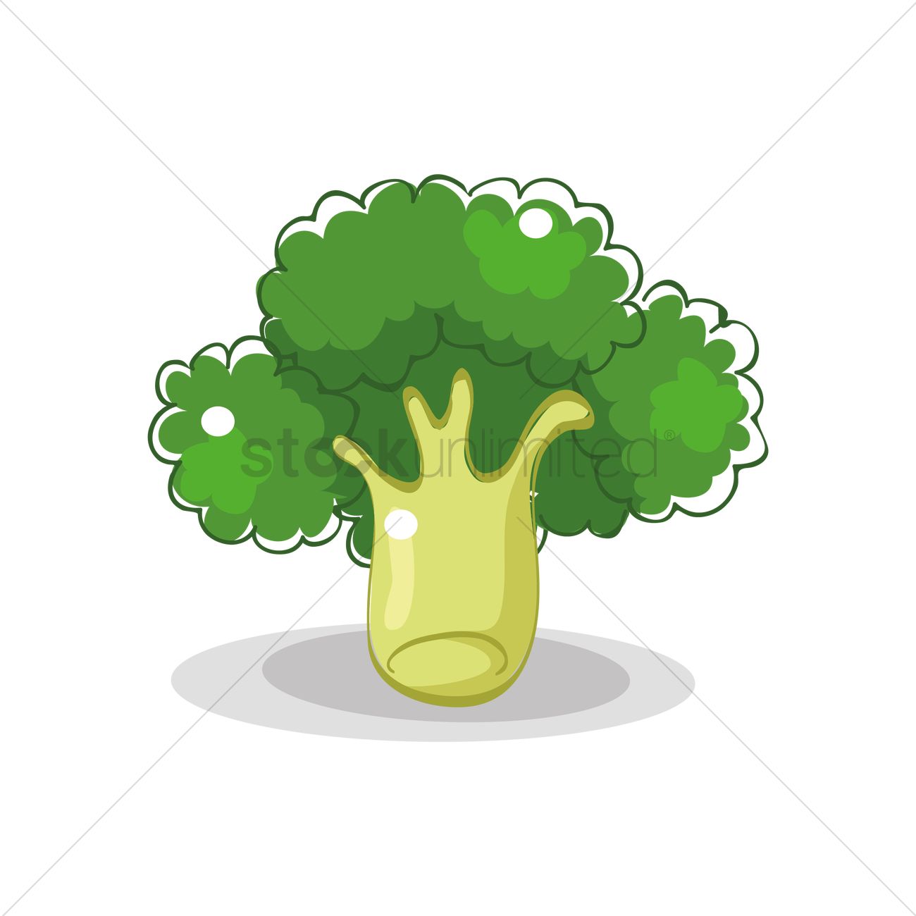 1300x1300 Free Broccoli Vector Image