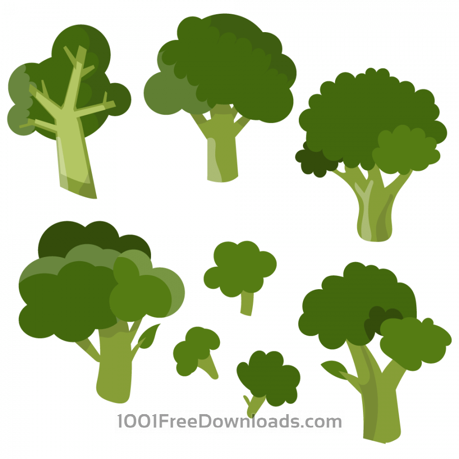 900x900 Free Vectors Fresh Broccoli Vector Set Nature