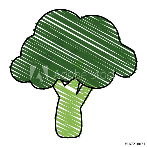 500x500 Broccoli Vector Illustration