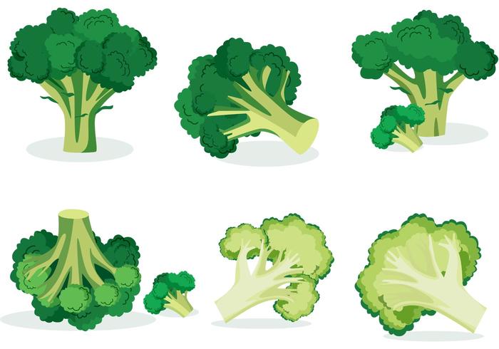 700x490 Broccoli Isolated Vectors