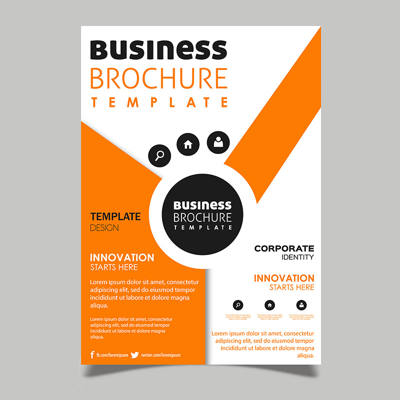 800x800 Creative Vector Brochure Designs Konfest