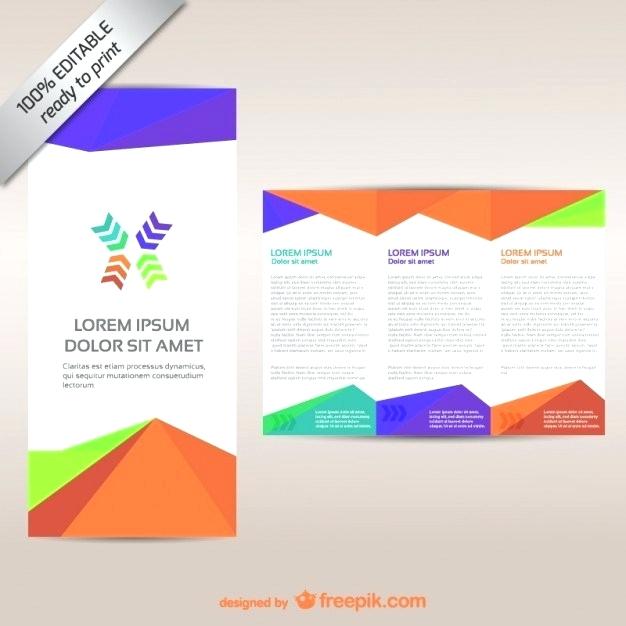 626x626 Colorful Fold Brochure Template Vector Free Download Word Tri
