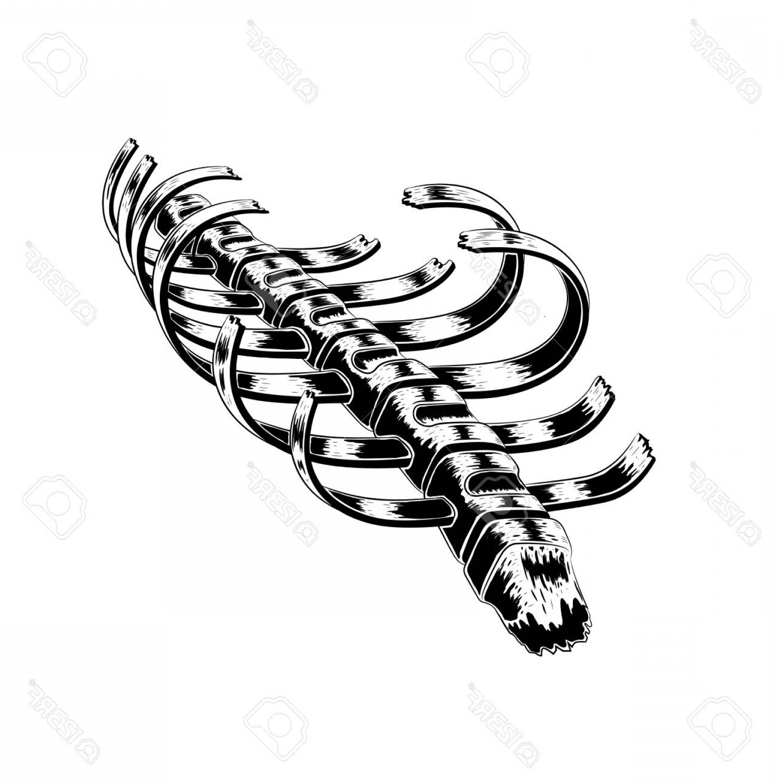 1560x1560 Broken Cage Vector Cqrecords