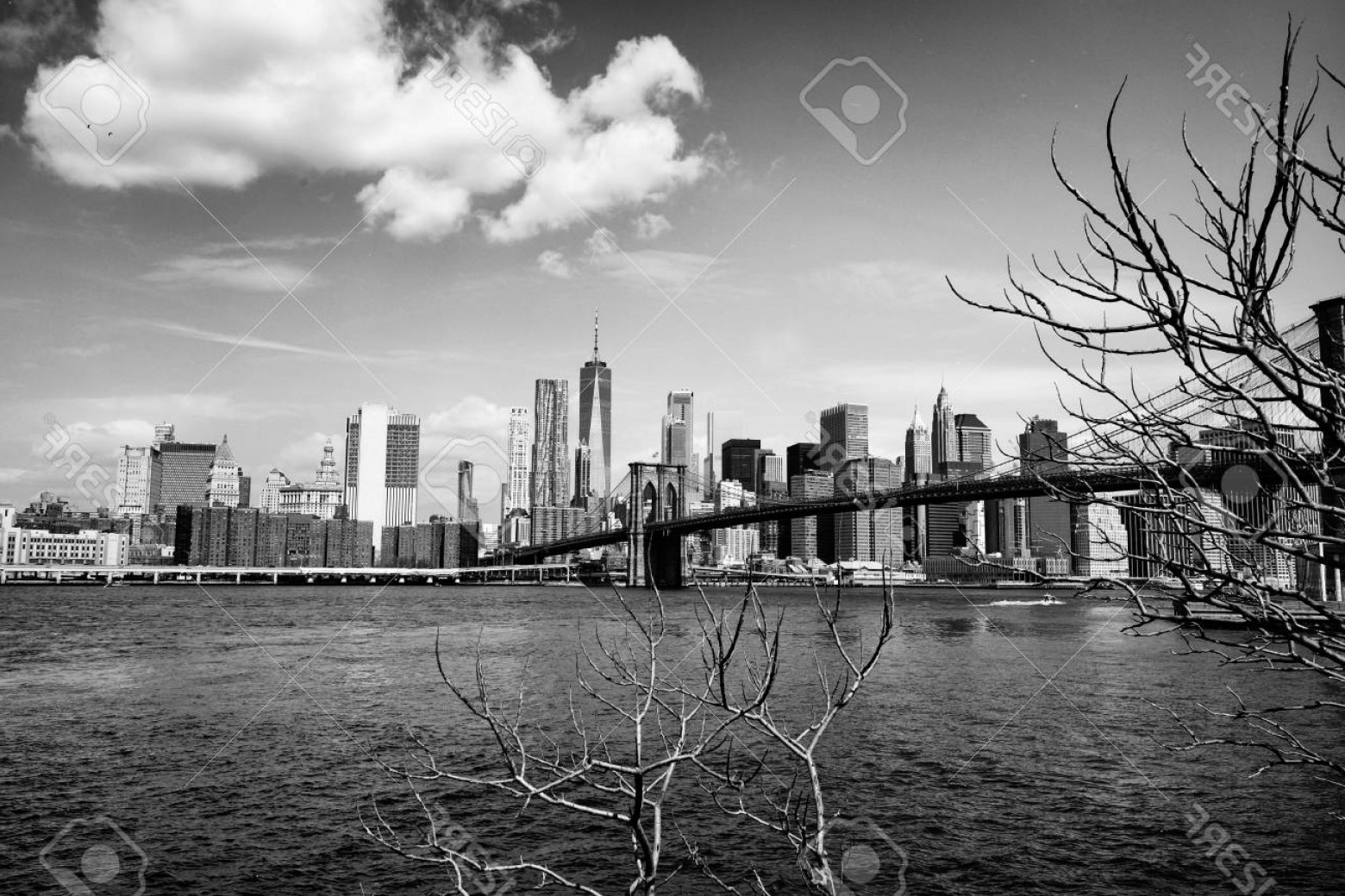 1560x1039 Brooklyn Bridge Skyline Vector Studiogrfx
