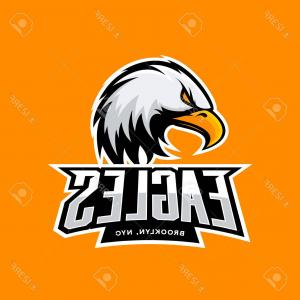 300x300 Catamart Creative Vector Illustrator