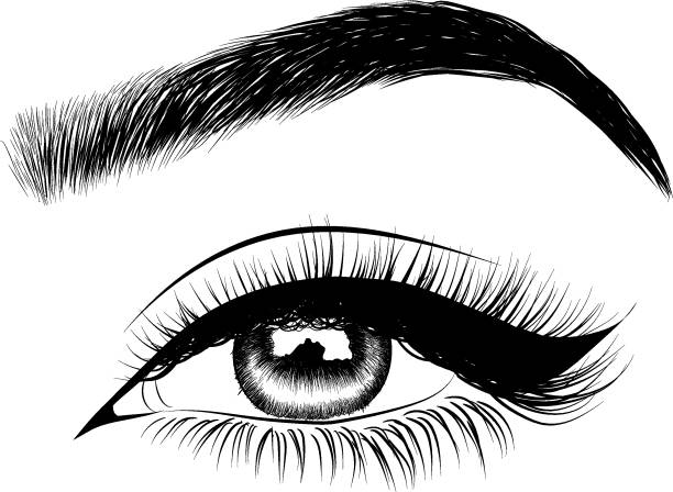 Brow Vector