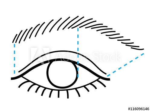 Eye And Brow Vector Illustration How To Tweeze A Brow 500x373 Eye And Brow Vector Illustration How To Tweeze A Brow