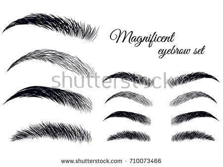 Eyebrow Clipart Illustrator 450x338 Eyebrow Clipart Illustrator