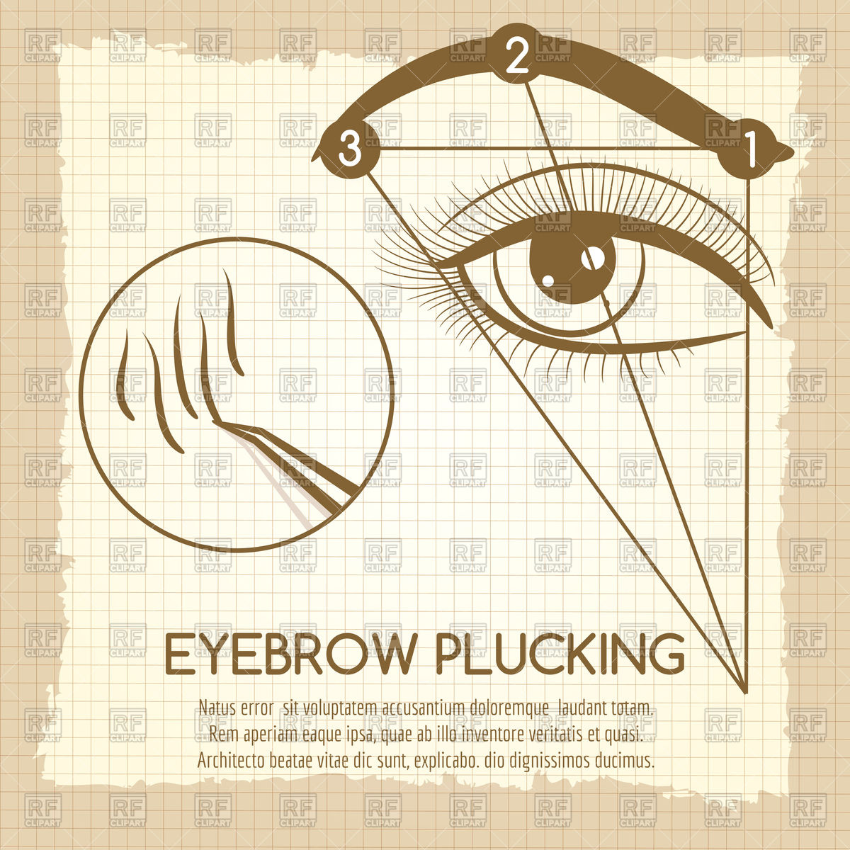 How To Make Ideal Brow Eyebrow Plucking Vintage Style Concept 1200x1200 How To Make Ideal Brow Eyebrow Plucking Vintage Style Concept