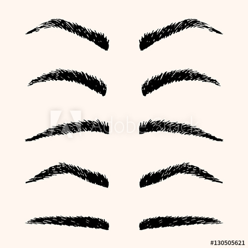 Types Of Brow Vector Illustration Template Hand Drawing Eyebrow 500x500 Types Of Brow Vector Illustration Template Hand Drawing Eyebrow