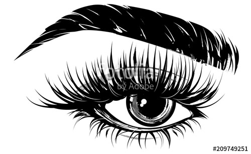 Illustration Of Eye Makeup And Brow On White Background Stock 500x307 Illustration Of Eye Makeup And Brow On White Background Stock