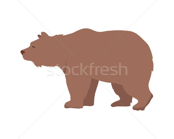 Brown Bear Vector Illustration In Flat Design Vector Illustration 600x480 Brown Bear Vector Illustration In Flat Design Vector Illustration
