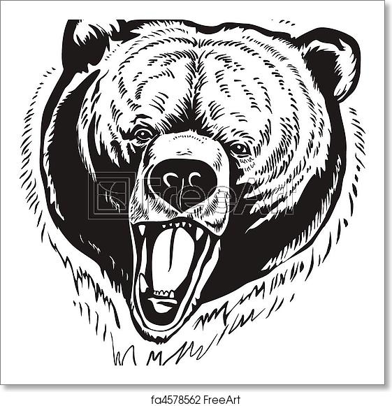 Free Art Print Of Grizzly Brown Bear Vector The Head Of Wild 561x581 Free Art Print Of Grizzly Brown Bear Vector The Head Of Wild