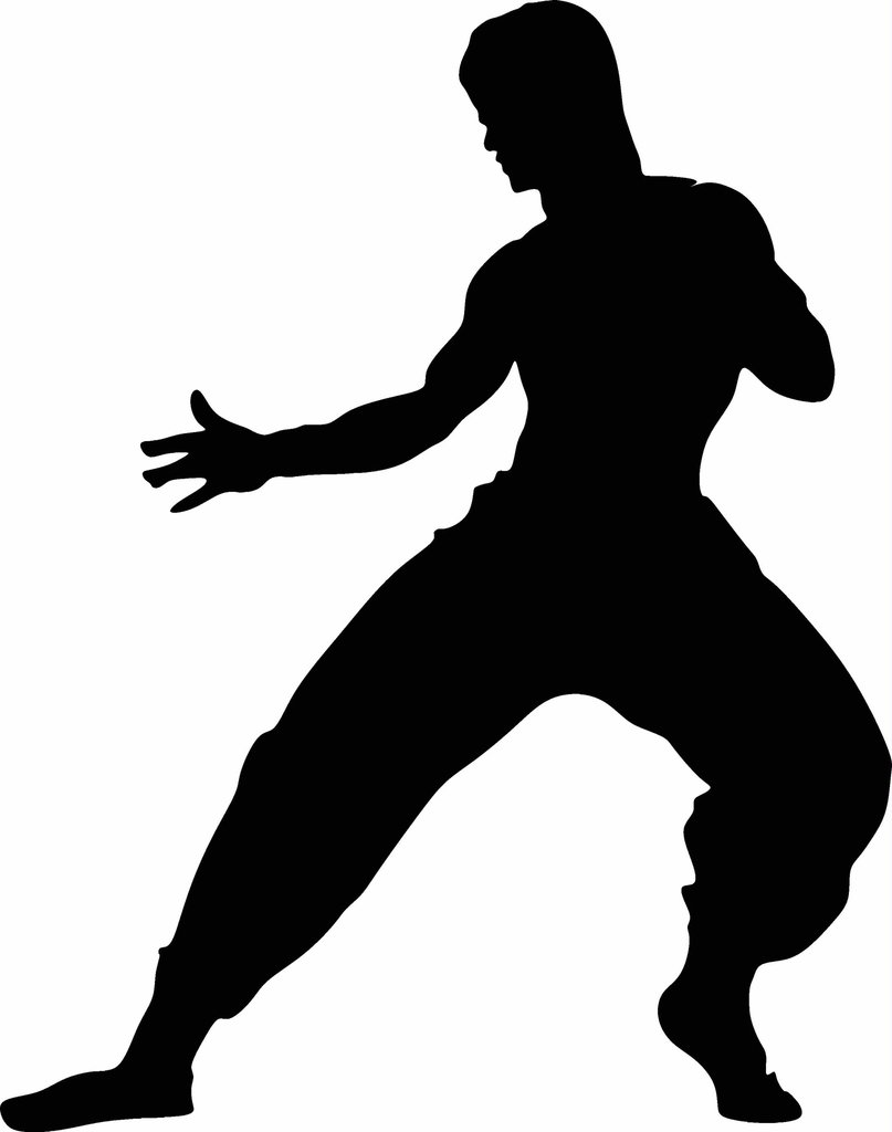 807x1024 Bruce Lee Silhouette Images