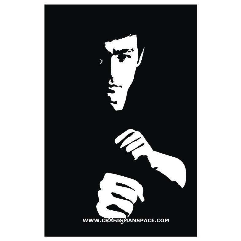 786x786 Bruce Lee Vector Pattern