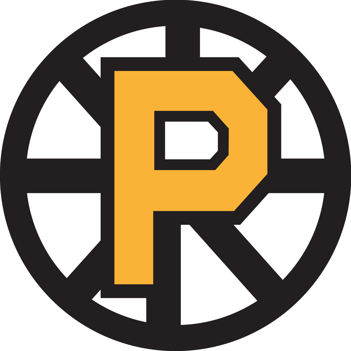1200x1200 Providence Bruins