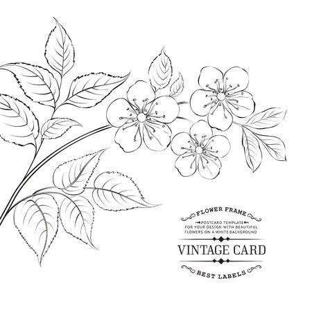 450x450 Calligraphy Cherry And Blossom Brunch Vector Illustration