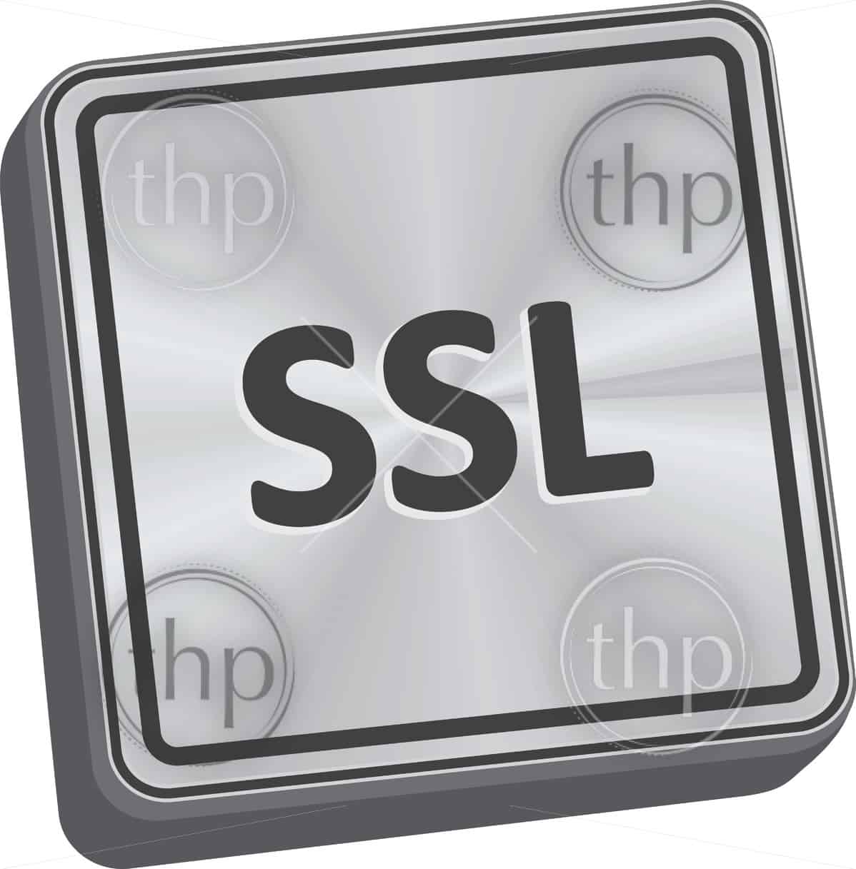 1198x1217 Ssl Button Vector Key In Brushed Metal Vector