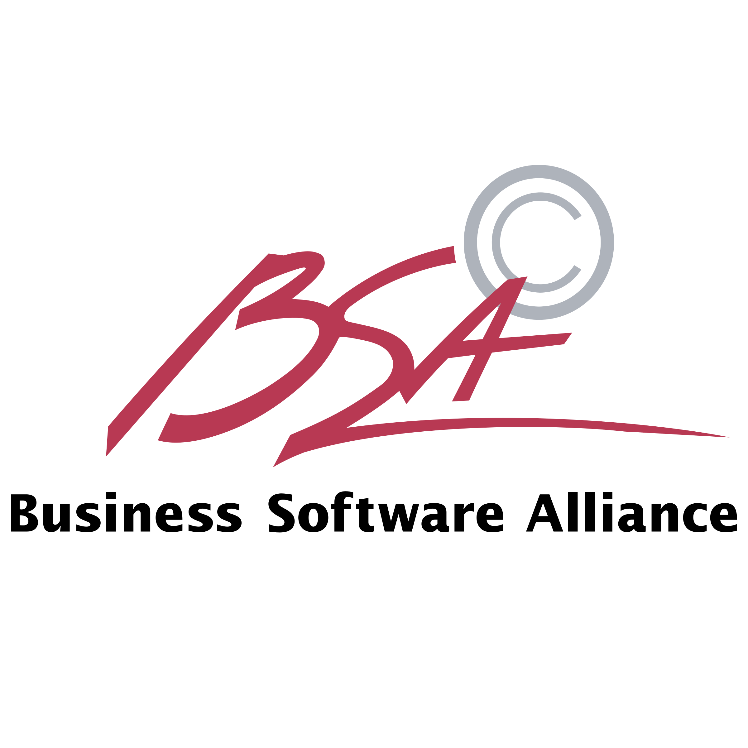 2400x2400 Bsa Logo Png Transparent Vector
