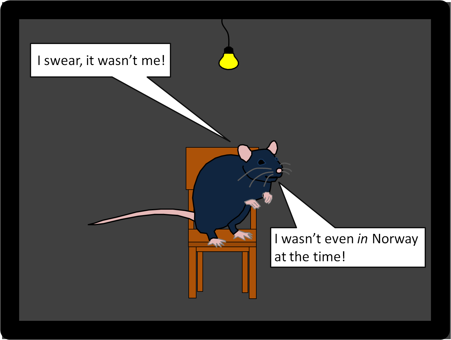 1508x1135 Did Rats Spread The Black Death Parasite Ecology