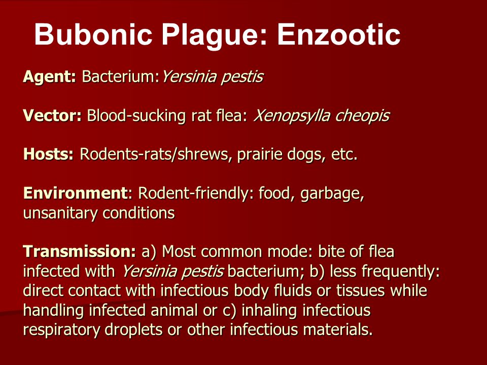 960x720 The Bubonic Plague And Rubella A Comparison