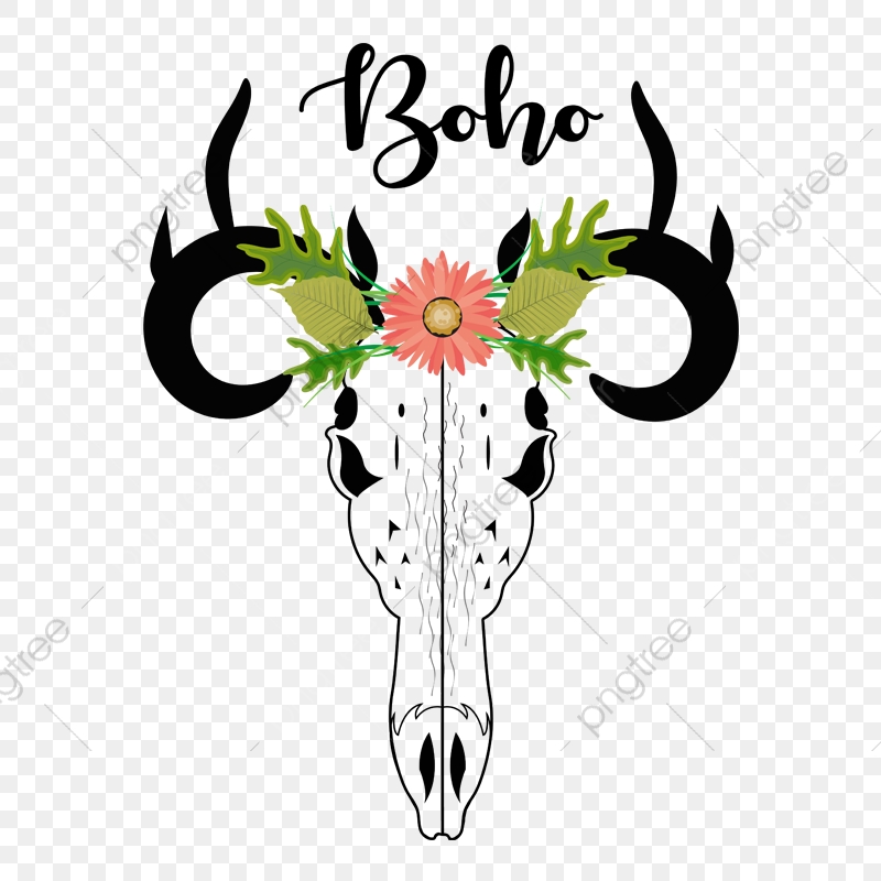 Deer Skull Illustration, Deer Head, Buck Skull, Skull Png 800x800 Deer Skull Illustration, Deer Head, Buck Skull, Skull Png