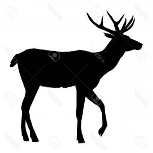 Photostock Illustration Deer Silhouette Vector Head Forest 300x300 Photostock Illustration Deer Silhouette Vector Head Forest