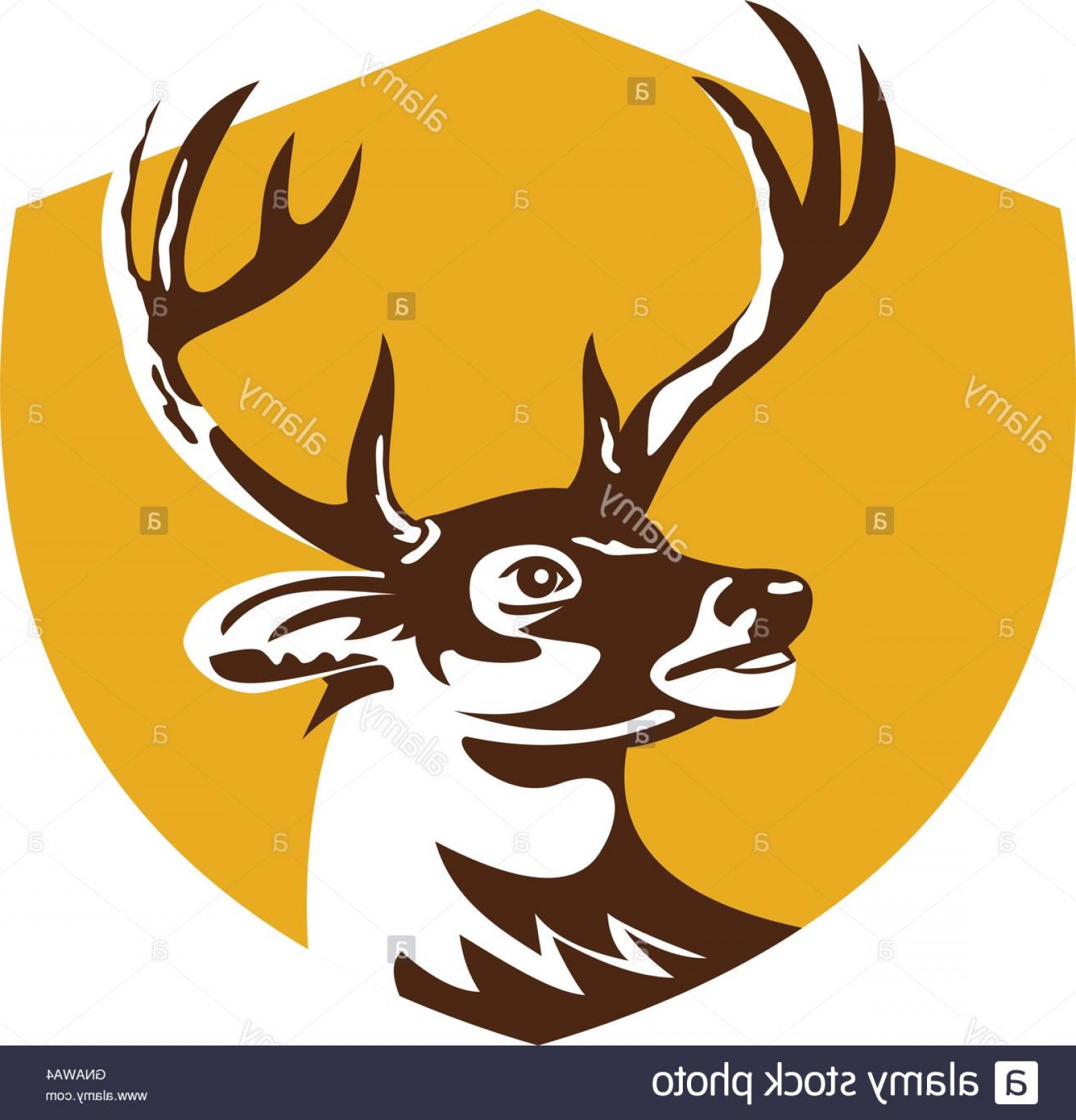 Stock Photo Whitetail Deer Buck Head Crest Retro Studiogrfx 1560x1623 Stock Photo Whitetail Deer Buck Head Crest Retro Studiogrfx