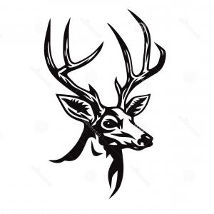 Buck Deer Head In Sketched Style Lamaison 300x300 Buck Deer Head In Sketched Style Lamaison