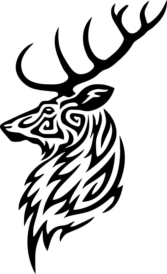 Buck Deer Head Graphic Design Vector 700x1144 Buck Deer Head Graphic Design Vector