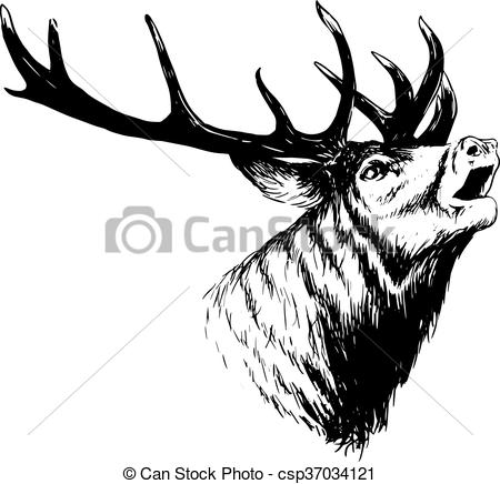 Buck Vector at Vectorified.com | Collection of Buck Vector free for ...