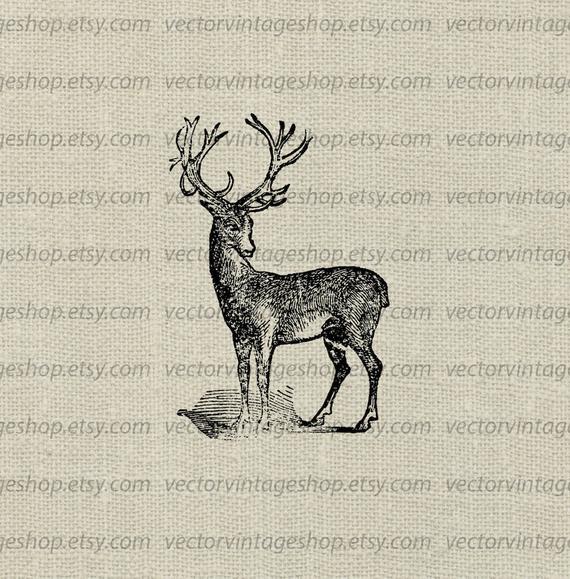 570x579 Deer Vector Clipart Instant Download Buck Antler Clip Art Etsy