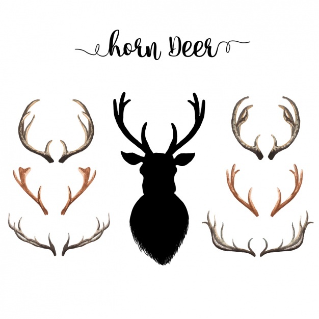 626x626 Deer Vectors, Photos And Free Download