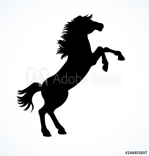 477x500 Horse Began To Buck Vector Drawing