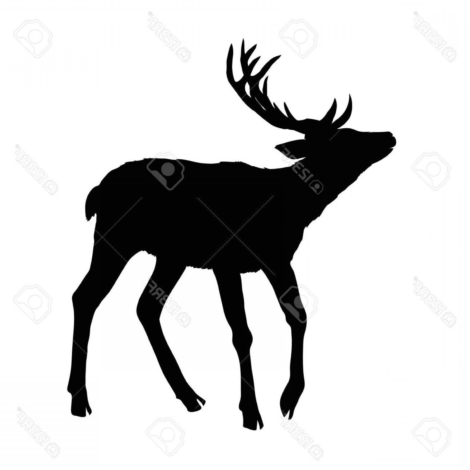 1560x1560 Photostock Vector Deer Silhouette Vector Illustration Catchsplace