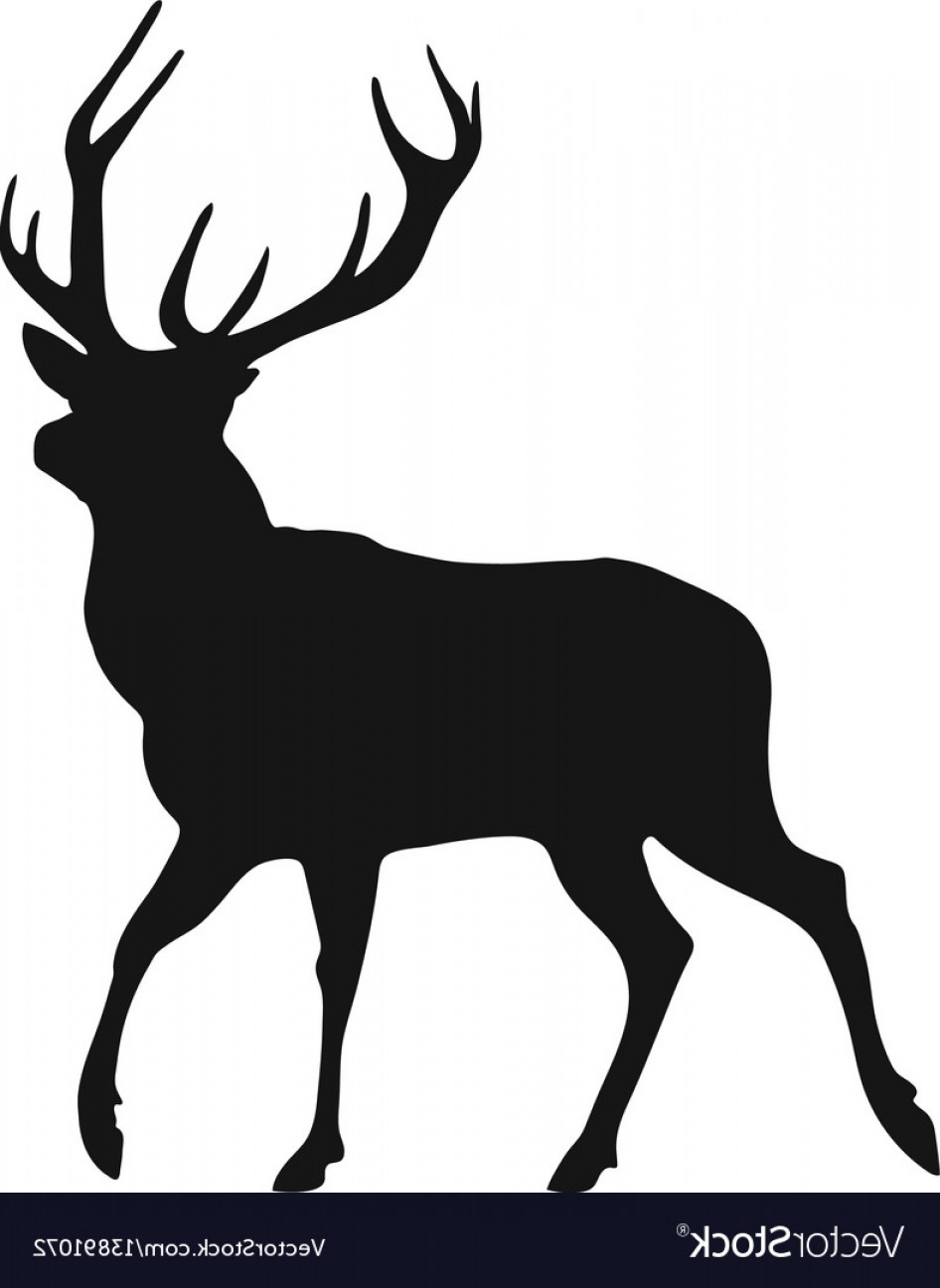 Buck Vector at Vectorified.com | Collection of Buck Vector free for ...