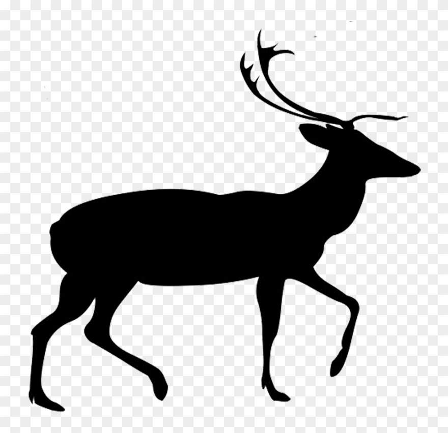 880x852 Vector Free Library Buck And Doe Clipart