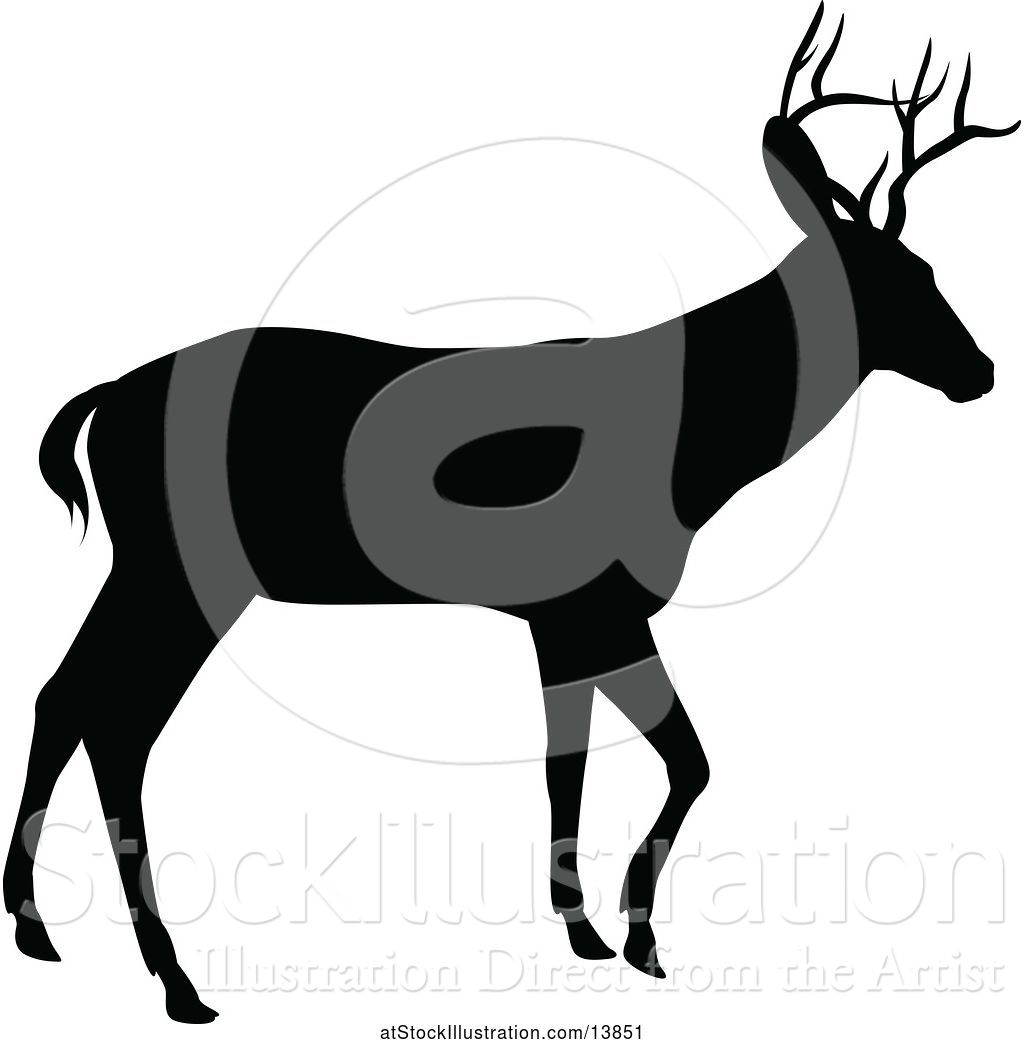 1024x1044 Vector Illustration Of Black Silhouetted Deer Stag Buck
