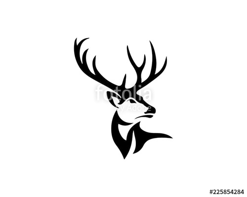 500x400 Buck Stock Image And Royalty Free Vector
