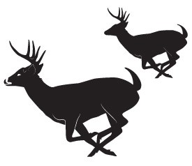 275x238 Buck Clipart Vector, Buck Vector Transparent Free For Download