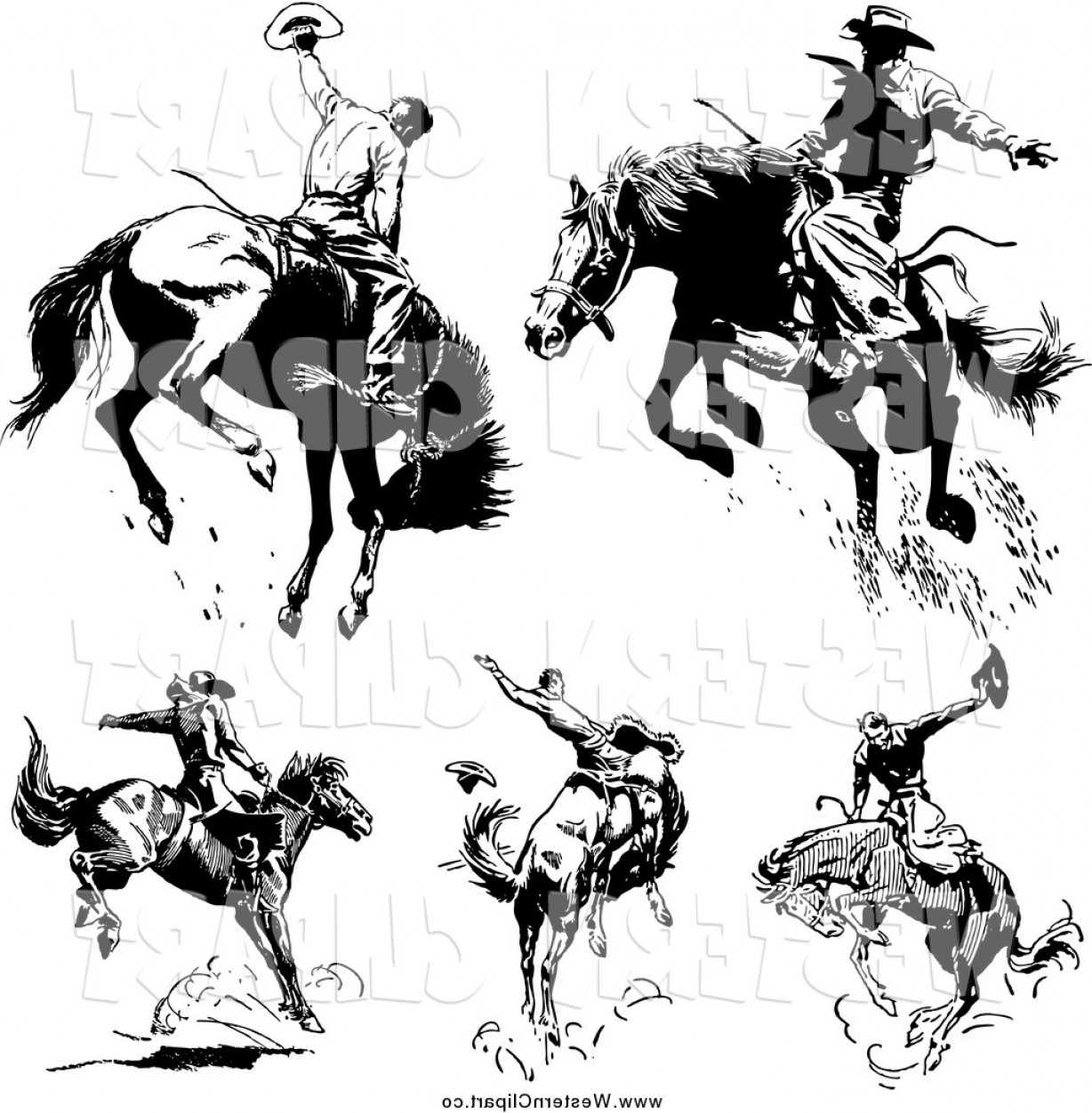 Bucking Horse Vector at Vectorified.com | Collection of Bucking Horse ...