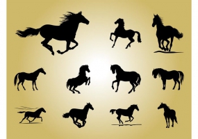 285x200 Rodeo Bucking Horses Free Vector Graphic Art Free Download