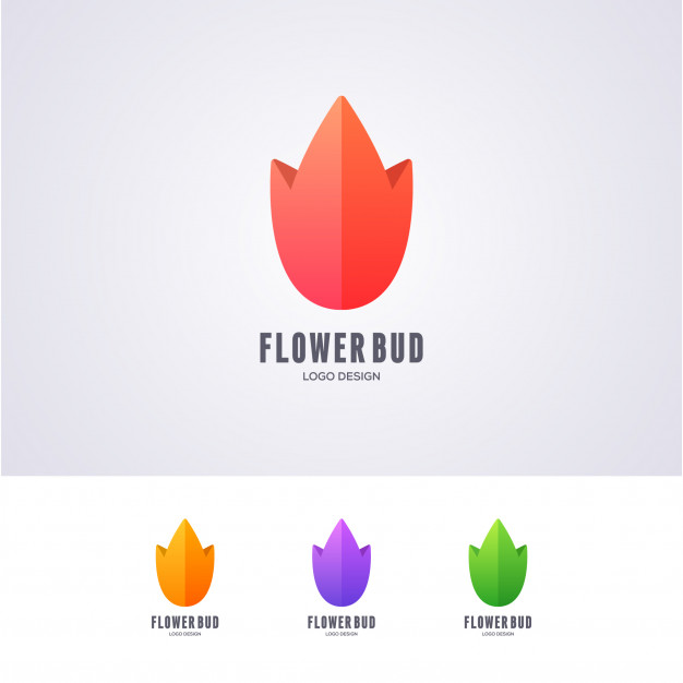 626x626 Lotus Flower Bud Logo Design Vector Premium Download