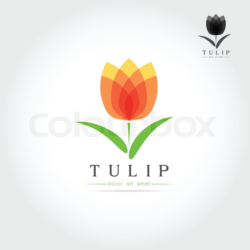 800x800 Simple Tulip Bud With Leaves Design Stock Vector Colourbox