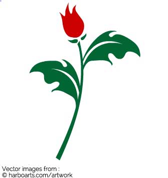 335x355 Download Rose Bud Branch