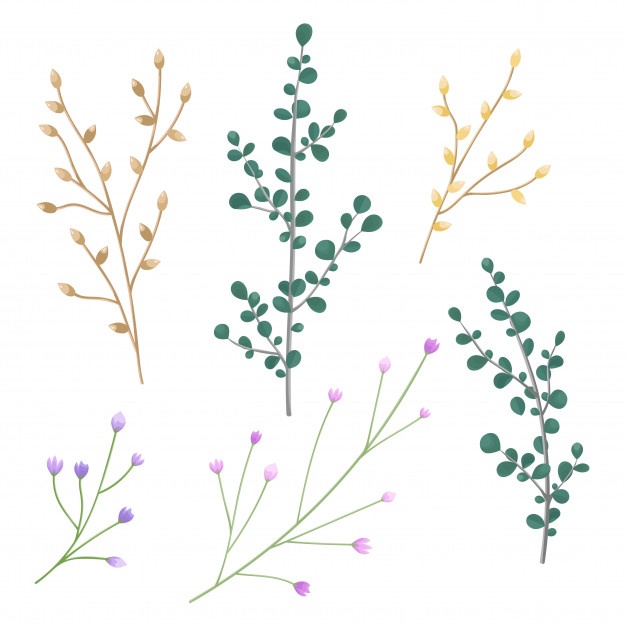 626x626 Green Buds Vectors, Photos And Free Download